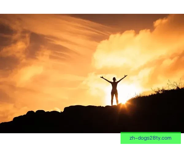 立足今日拼搏赢未来不念过往事